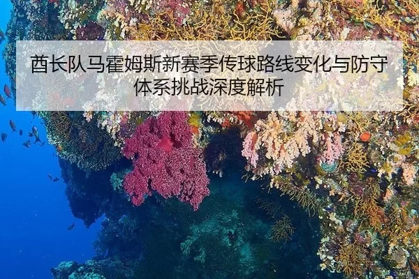 酋长队马霍姆斯新赛季传球路线变化与防守体系挑战深度解析