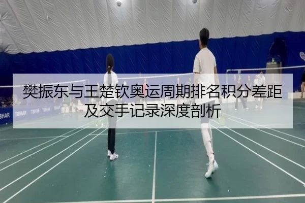 樊振东与王楚钦奥运周期排名积分差距及交手记录深度剖析